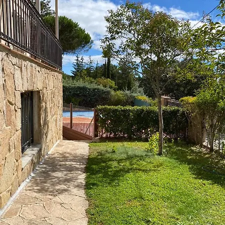 Victoria Ávila